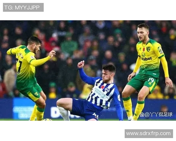 布莱顿与诺维奇对决前瞻分析及比赛结果预测